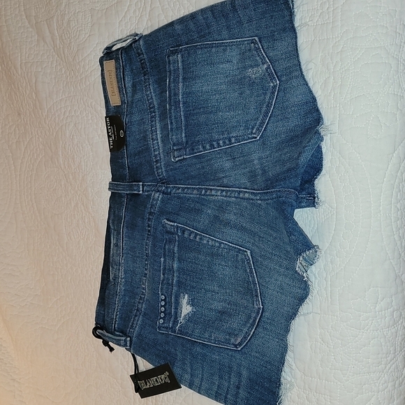 Blank NYC The Astor Brooklyn Baby Cut Off Raw Hem Distressed Shorts Size 26 - Picture 13 of 14